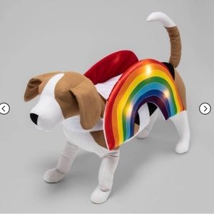 Target rainbow led dog costume XXL